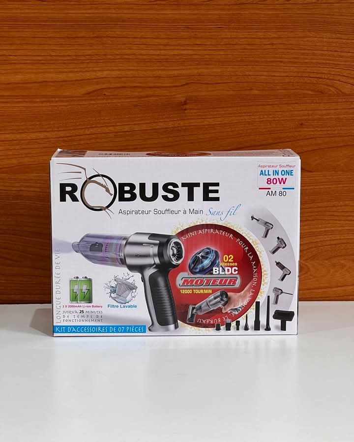 Aspirateur Souffleur à Main Robuste